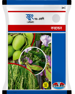 জুং ৭৫এসপি/ Jung 75SP