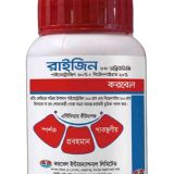 রাইজিন