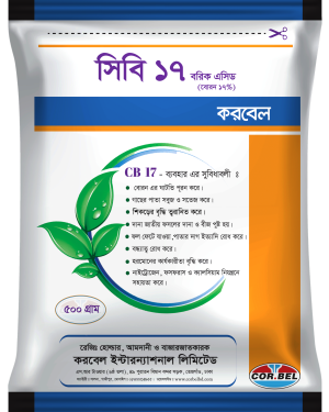সিবি ১৭ / CB 17