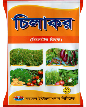 চিলাকর/ Chelacor