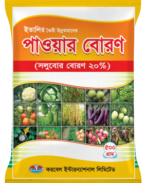পাওয়ার বোরন/ Power Boron