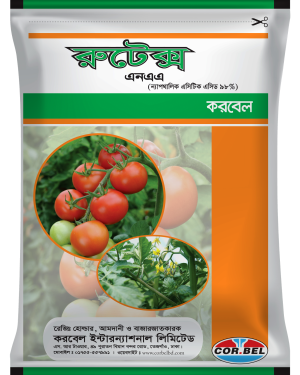 রুটেক্স/ Rutex
