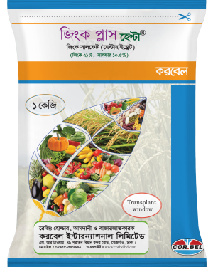 জিংক প্লাস (হেপ্টা)/ Zinc Plus (Hepta)